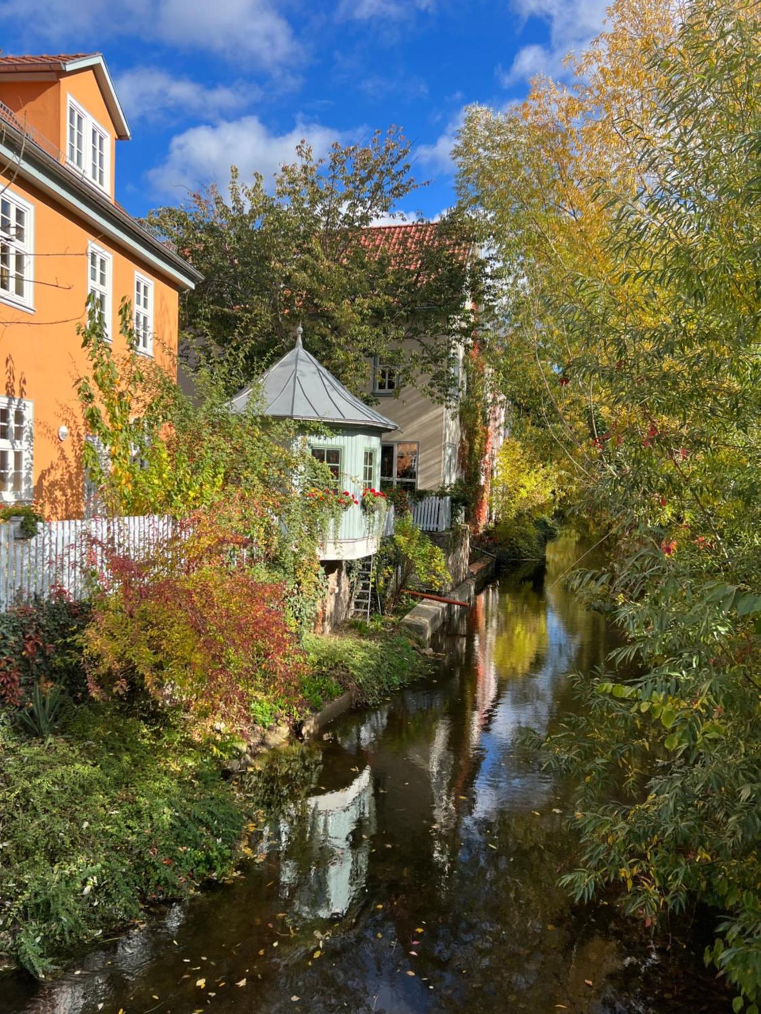 Ferienwohnung Schildblick Modernes Apartment Direkt In Der Altstadt Von Erfurt Nahe Der Kraemerbruecke - Beste Innenstadtlage 外观 照片